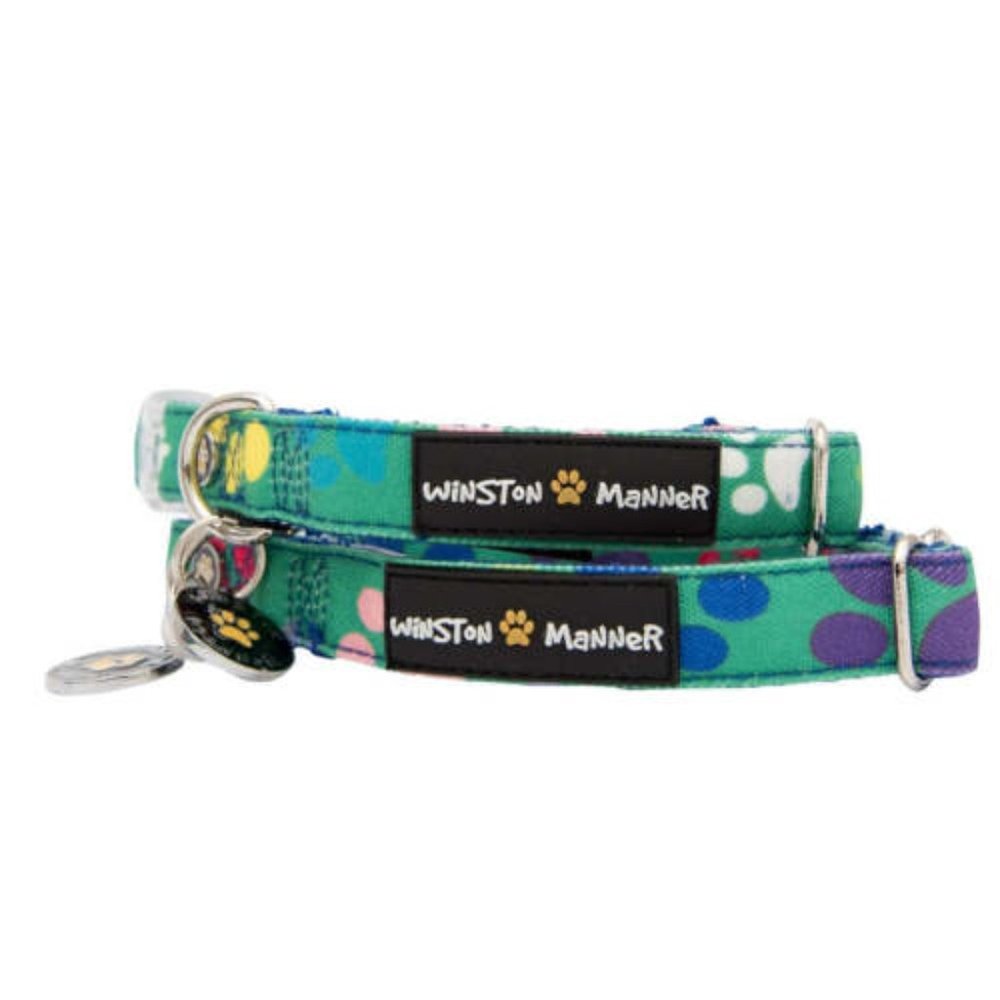 Winston Manner Dog Collar in My Prints - Green